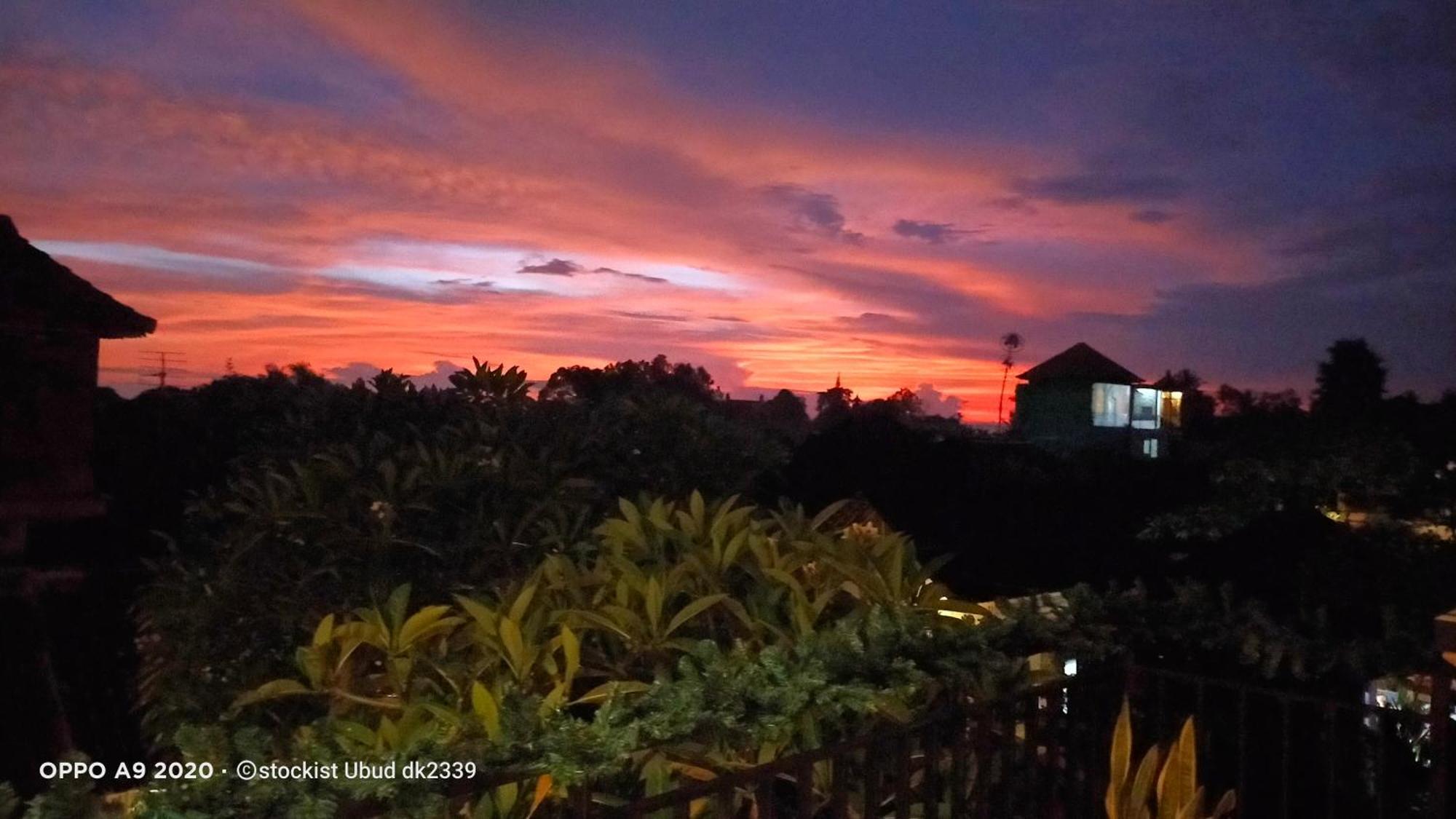 Danu House Ubud Exterior photo